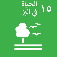 الحياة في البحر