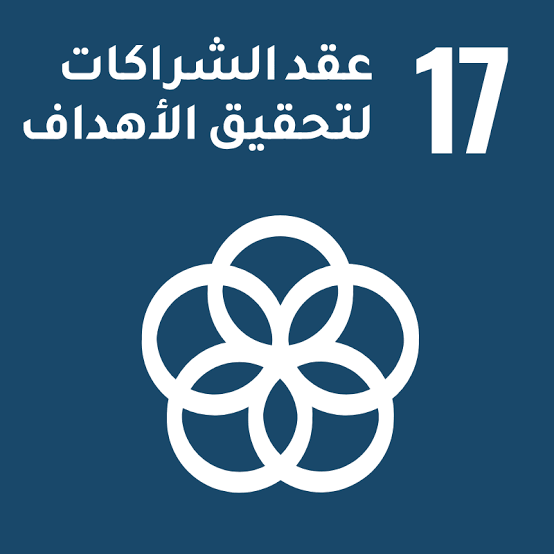 عقد الشراكات لتحقيق الأهداف