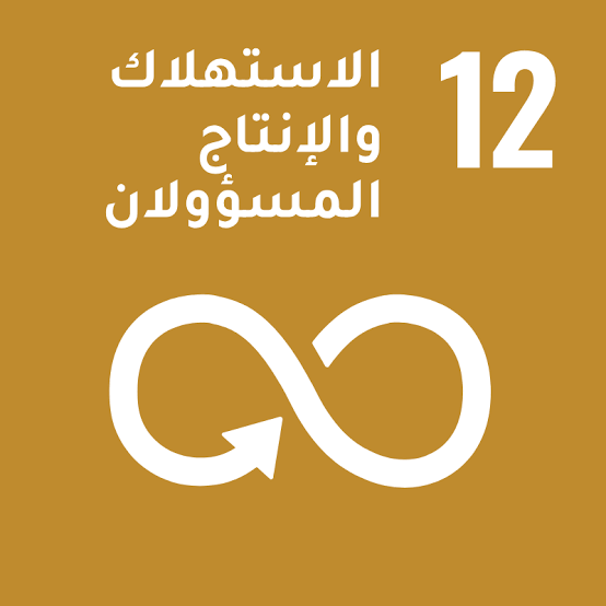 الاستهلاك والانتاج المسؤولان